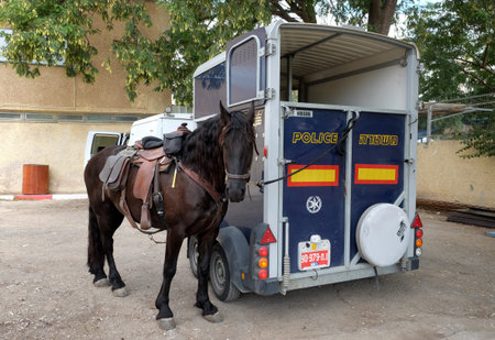 BEER SHEVA, ISRAEL - OCTOBER 31, 2017:  Police horse stands next to the van