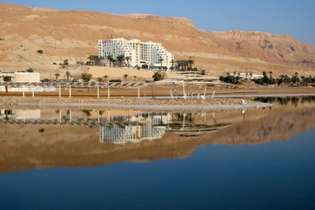 Hotels and reflections in the  morning on the Dead Sea resorts in Ein Bokekのeditorial素材