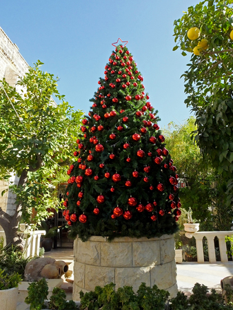 Christmas tree in the courtyard of the Church of the Wedding in Cana of Galileeの写真素材