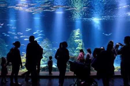 JERUSALEM, ISRAEL - JANUARY 19, 2019: Visitors to the Israel Aquarium in Jerusalem look at the fishのeditorial素材