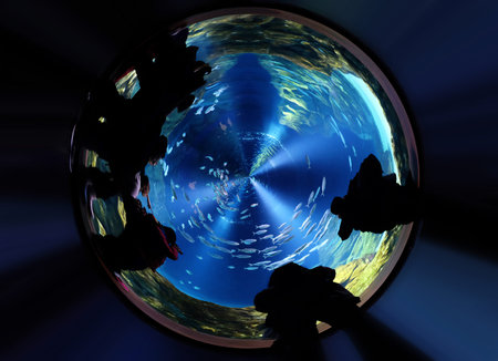 JERUSALEM, ISRAEL - JANUARY 19, 2019: Visitors to the Israel Aquarium in Jerusalem look at the fish