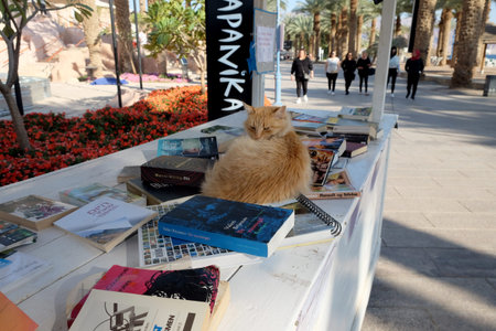 EILAT, ISRAEL - MARCH 03, 2019: Red cat lying on the counter bookcrossing on the promenade in Eilat