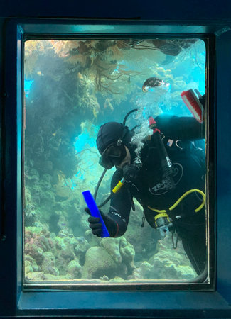 EILAT, ISRAEL - MARCH 03, 2019: Scuba diver cleans the windows of an observation tower under waterのeditorial素材