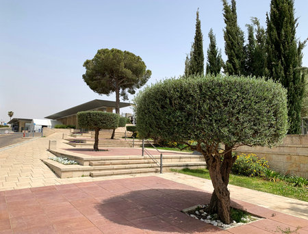 Trees near the entrance to the Knesset in Jerusalem