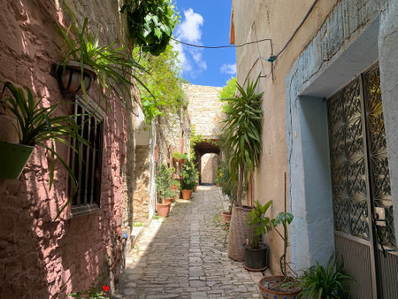 LEFKARA, CYPRUS - MAY 10, 2019: Many flowers and greenery on a narrow street in the historical village of Lefkaraのeditorial素材