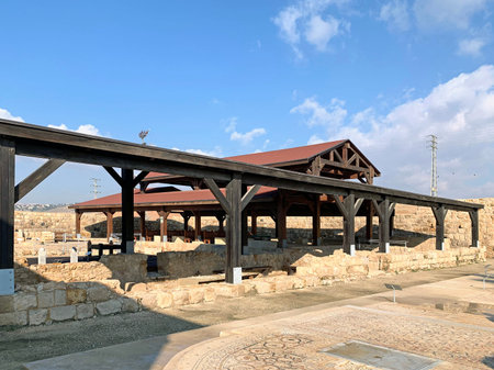 GOOD SAMARITAN'S INN, ISRAEL - JANUARY 11, 2020: Museum of ancient mosaics from different places of Israel at the Hotel of the Good Samaritanのeditorial素材