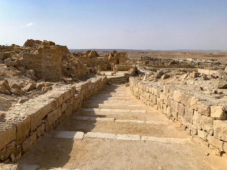 Ruins of the ancient Nabataean settlement of Shivta in the Negev desert
