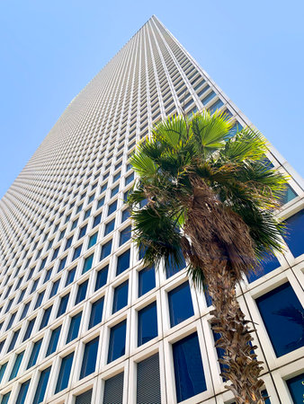TEL-AVIV, ISRAEL - MAY 03, 2021: Palm tree on the background of a skyscraper in Tel-Avivのeditorial素材