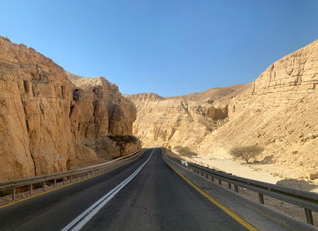 The road through the Negev desert among the mountains of sedimentary rocks