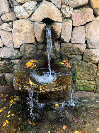 Springs in the Ein Hemed or Aqua Belle National Park