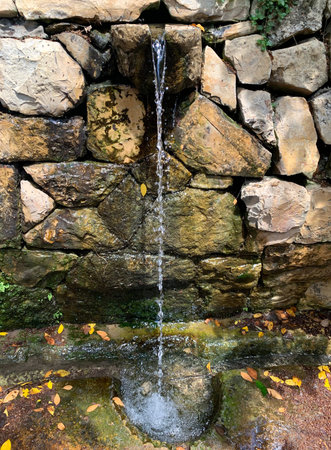 Springs in the Ein Hemed or Aqua Belle National Park