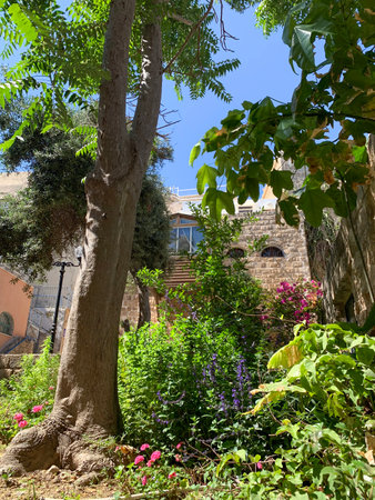 JAFFA, ISRAEL - MAY 22, 2022: Greenery in the historical part of the city of Jaffaのeditorial素材