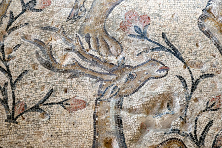 TZIPORI, ISRAEL - OCTOBER 20, 2022: Mosaic in the archaeological park of Sepphoris (Tzipori)のeditorial素材