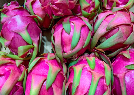 Delicious tropical exotic dragon fruit pink colorの写真素材