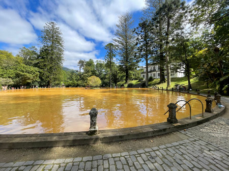 Iron-load water pool in the Botanical park Terra Noshtra near the village of Furnasの写真素材