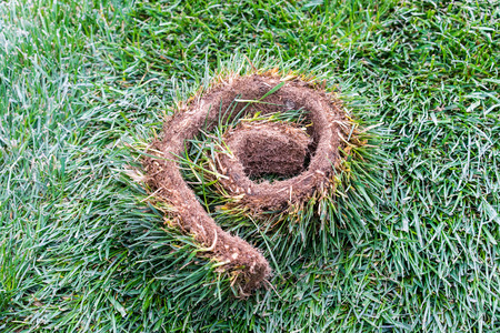 Strip of rolled sod lawn (above view) Iの写真素材
