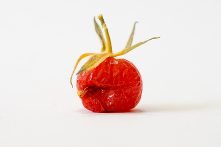 Close-up of overripe and torn wild tomato IIの写真素材
