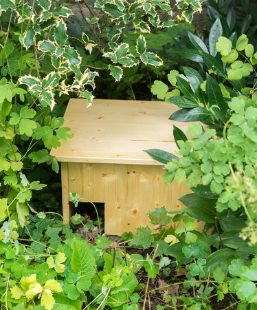 Do it yourself hedgehog shelter under bushes IIの写真素材