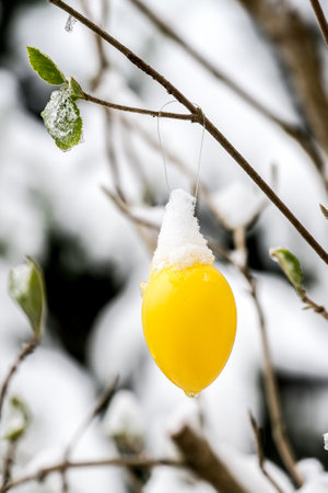 Closeup of plastic easter egg covered by snowの写真素材