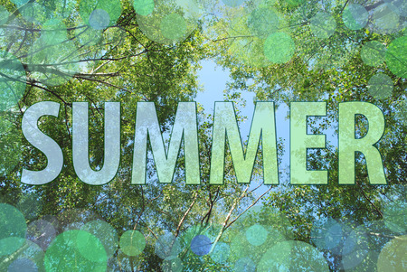 Summer blur background with treesの写真素材