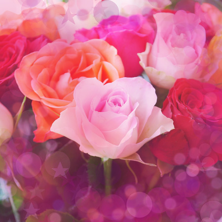 Nice colorful roses blur  backgroundの写真素材