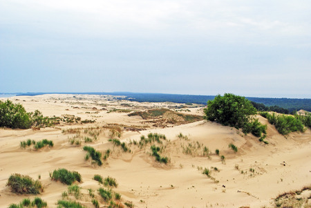 Sand dunes on the Curonian Spit, Russiaの写真素材