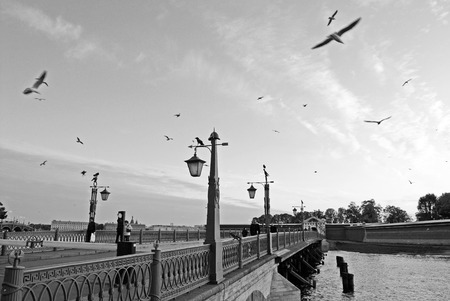 Birds fly over the Peter and Paul Fortress, Saint-Petersburg, Russiaのeditorial素材