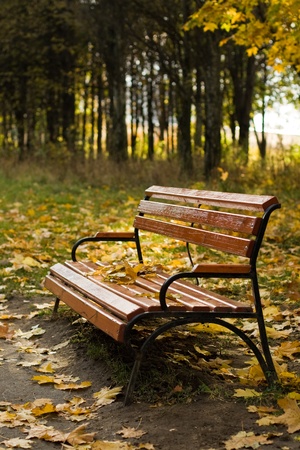 Bench in autumn parkの写真素材