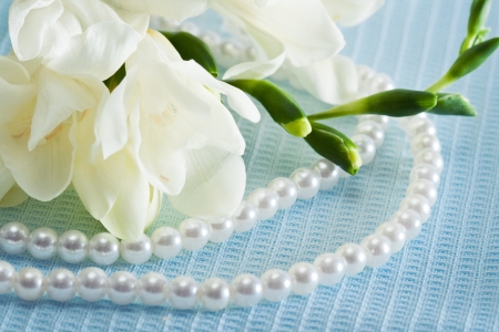 White freesia flower on blue background. Closeup.の写真素材