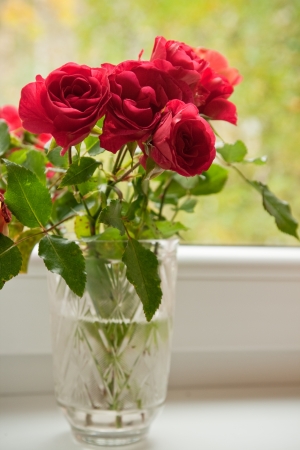 Bouquet of red roses in a crystal vase in the windowの写真素材
