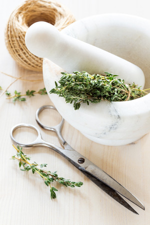 Fresh thyme in a marble mortar and scissorsの写真素材