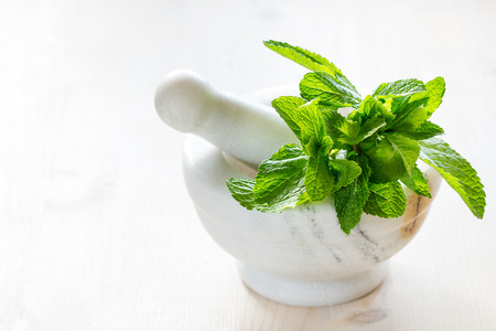 Fresh mint in the mortar with a pestle.の写真素材