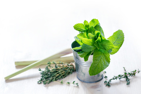 Fresh mint and thyme in a small bucketの写真素材