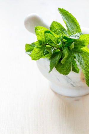 Fresh mint in the mortar with a pestle.の写真素材
