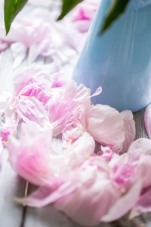 Pink peonies in vase on wood backgroundの写真素材