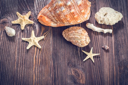 Sea objects on dark wooden background.の写真素材