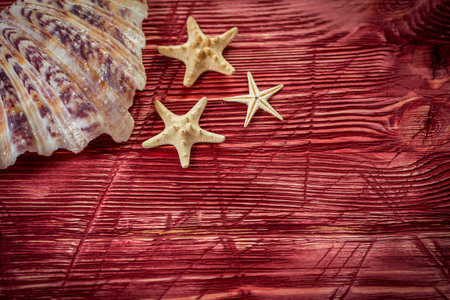 Sea objects - shells, sea stars on red wooden background.