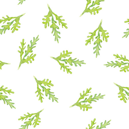 Seamless herbal pattern with leaves. Watercolor illustrationの写真素材