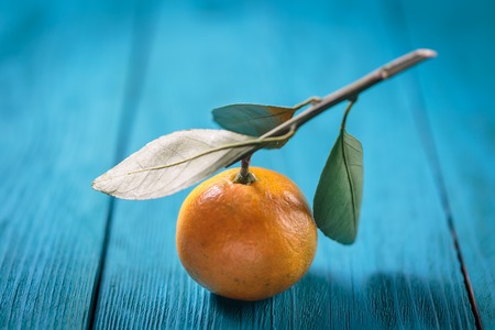 Tangerines with leaves on blue wooden table.の写真素材