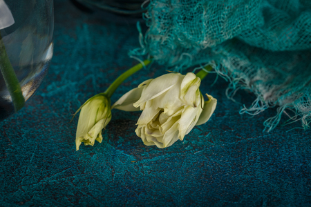 Bouquet of white eustoma flowers on dark blue backgroundの写真素材