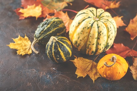Small decorative pumpkins and autumn maple leaves on brown backgroundの写真素材