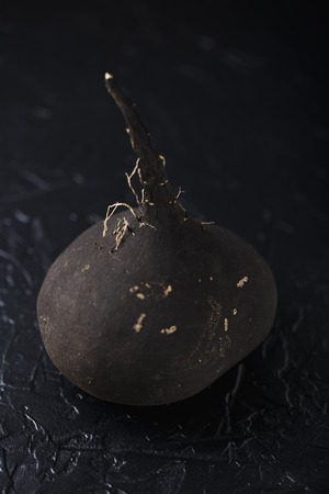 Tuber black radish on a black concreteの写真素材