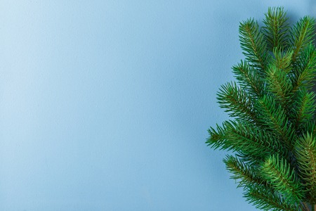 Christmas and New Year blue background with fir branches. Top viewの写真素材