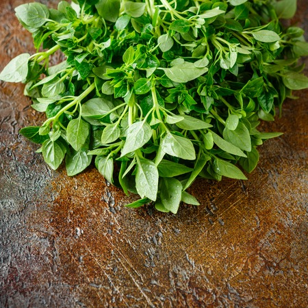 Fresh green leaves of basil on a old tableの写真素材