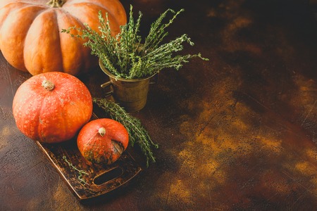Autumn harvested vegetables and herbs - pumpkin, thymeの写真素材