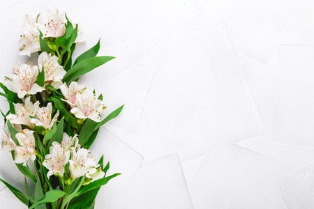 Beautiful flowers of green Alstroemeria on white background.の写真素材