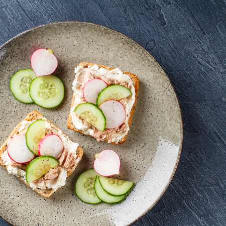 Delicious sandwich with cream cheese, tuna and fresh vegetables, cucumber and radish on a plate. Delicious vegetarian healthy food, close-upの写真素材