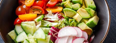Vegan buddha bowl. Bowl with fresh raw vegetables - cherry tomatoes, cucumber, radish, avocado, lettuce Romano, Frisse and ridicho. Healthy vegetarian salad. Ketogenic diet.の写真素材
