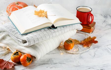 Enamelled red cup of coffee with milk, spices - cinnamon sticks and anise stars, book, persimmon, sweater, autumn maple fox on light backgroundの写真素材