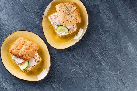Delicious sandwich with cream cheese, tuna and fresh vegetables, cucumber and radish on a plate. Delicious vegetarian healthy food, close-upの写真素材